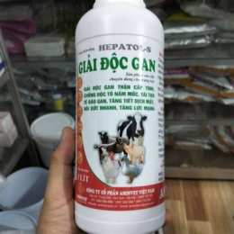 giải độc gan cho gà đá