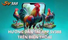 giao diện app 2bong da ga sv388