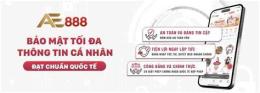giao diện app ae888 đá gà thôm