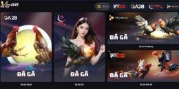 giao diện app aev888 venus casino - nhà cái đá gà thomo