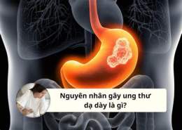 giao diện app ăn thịt gà gây ung thư dạ dày