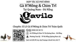giao diện app bán gà h