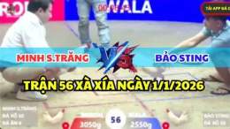 giao diện app bảo sting đá gà thomo