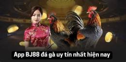 giao diện app bj888 cổng game đá gà