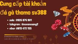 giao diện app cách đăng ký đá gà thomo f8bet.bike