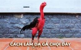 giao diện app cách làm da gà chọi dày