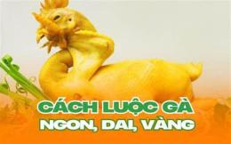 giao diện app cách luộc gà k nứt da