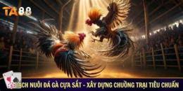 giao diện app cách nuôi gà đá cựa