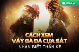 giao diện app cách xem gà đá cựa hay