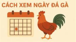giao diện app cach xem ngay da ga