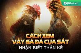 giao diện app cách xem vảy gà đá cựa sắt