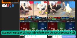 giao diện app cách xổ gà đá