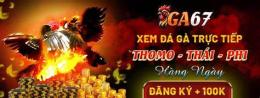 giao diện app casino xà xía đá gà