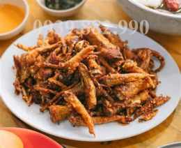 giao diện app chan ga quai thu da lat