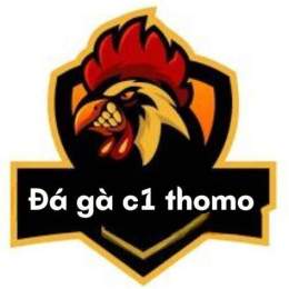 giao diện app coi đá gà thomo c1