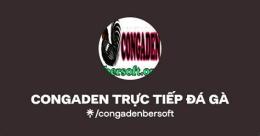 giao diện app congaden trực tiếp đá gà