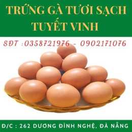 giao diện app cung cấp trứng gà công nghiệp đà nẵng