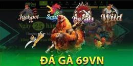 giao diện app đá gà 69vn