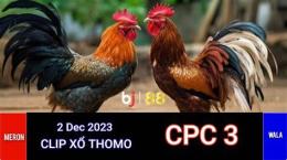 giao diện app đá gà 88 cpc3