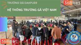 giao diện app đá gà 888 trực tiếp hôm nay