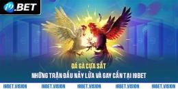giao diện app đá gà a chiến