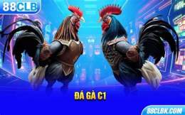 giao diện app đá gà bình luận c1