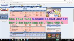giao diện app đá gà bong88