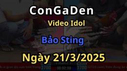 giao diện app đá gà c2 hôm nay bảo sting