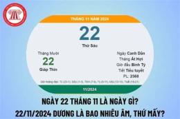 giao diện app đá gà c3 ngày 22 tháng 11