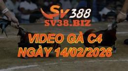 giao diện app đá gà c4 ngày 21 12 trận 15