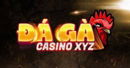 giao diện app đá gà casino mới nhất hôm nay