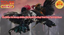 giao diện app da ga choi thai lan