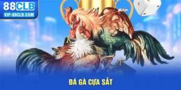 giao diện app da ga cua sat hay nhat 2016