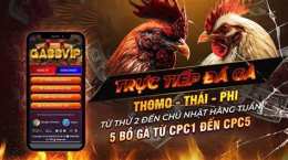giao diện app đá gà đá gà trực tiếp 88