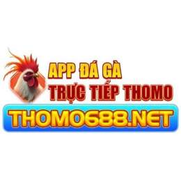 giao diện app đá gà đá thomo