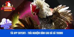 giao diện app đá gà đoán đỉnh cao
