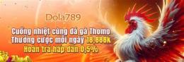 giao diện app đá gà dola789