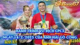 giao diện app đá gà giải c3 ngày 12/3