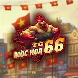 giao diện app đá gà giải mộc hóa