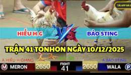 giao diện app đá gà giải tonhon hôm nay