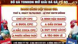 giao diện app da ga giai tonhon
