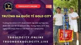 giao diện app đá gà gold city trực tiếp hôm nay