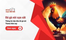giao diện app đá gà hôm nay trận 21 c3