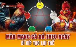 giao diện app da ga mau mang theo ngay