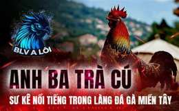giao diện app đá gà miền tây 2018