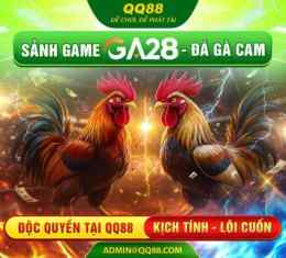 giao diện app đá gà qq88