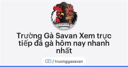 giao diện app đá gà savan hôm nay