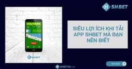giao diện app đá gà shbet