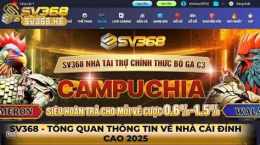 giao diện app đá gà sv368.info