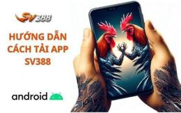 giao diện app đá gà sv388fun.com